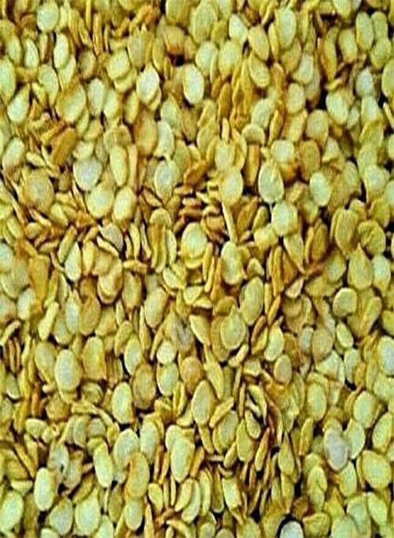 جي جوت 25 بذرة من بذور الفلفل الحار الأخضر الطويل لحديقة المطبخ - Image 3