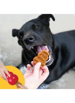 KONG Jerky - Dog Treats for Mental Stimulation Toys - Dog Supplies for Stuffing into Toys - Healthy Pet Snack Between Meals - All-Natural Grain & Gluten Free Dog Treat - Fits X-Small to Medium KONG - pzsku/Z53CE5AB2BF863407380AZ/45/_/1737031703/01430576-9590-4165-b76b-1dccab36c22e