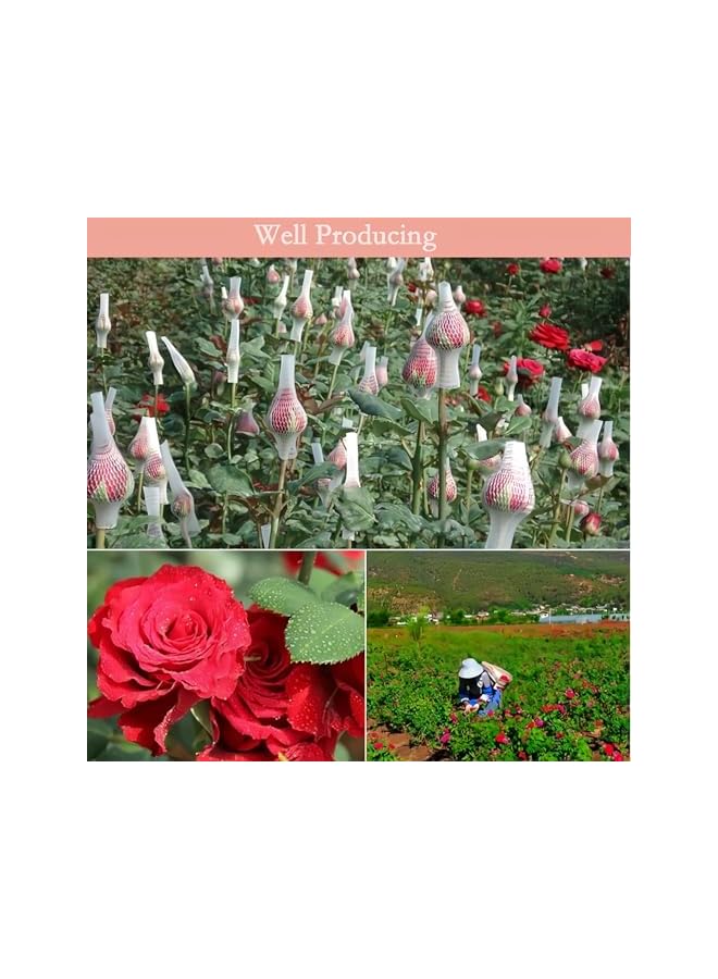 The Bros 50 Grams Natural Dried Red Rose Petals, Real Flower Dry Red Rose Petal for Wedding Party Decoration, Candle & Soap Making, Bath Aromatherapy and DIY Art Craft - Image 3