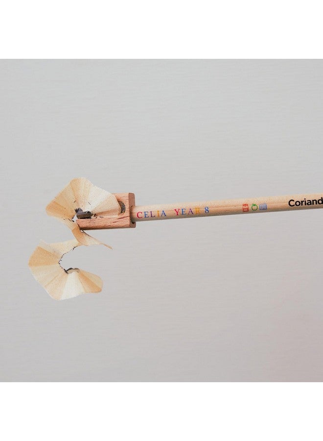 SPROUT World Wooden Pencil Sharpener | Certified Wood |25 Pack - Image 3