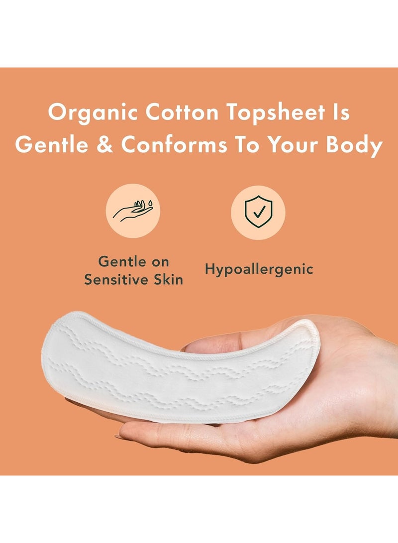 Rael Korean Organic Cotton Panty Liners Pack of 18 Super Long Unscented Breathable Daily Feminine Pads for Women Hypoallergenic Natural Protection Gentle Comfort Care - Image 5