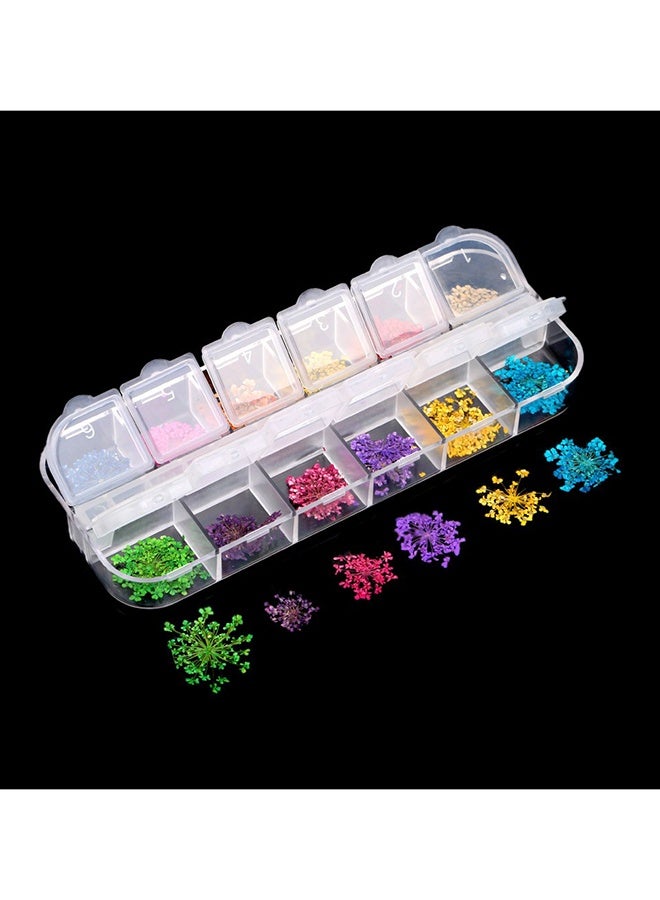 ORiTi 12-Color Dried Flower Nail Art Decorations Kit - Image 3