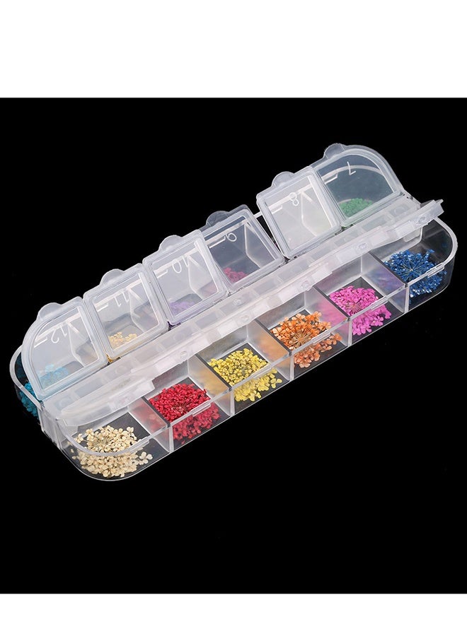 ORiTi 12-Color Dried Flower Nail Art Decorations Kit - Image 2