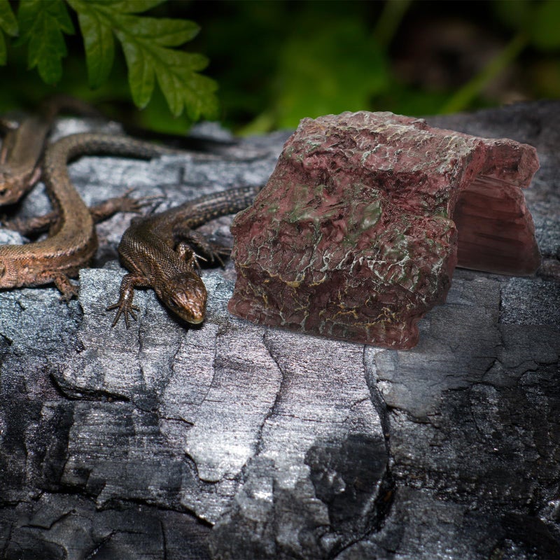 Natural Resin Reptile Hideout Cave Shelter for Turtle Bearded Dragon Tank Habitat Decor - Image 4
