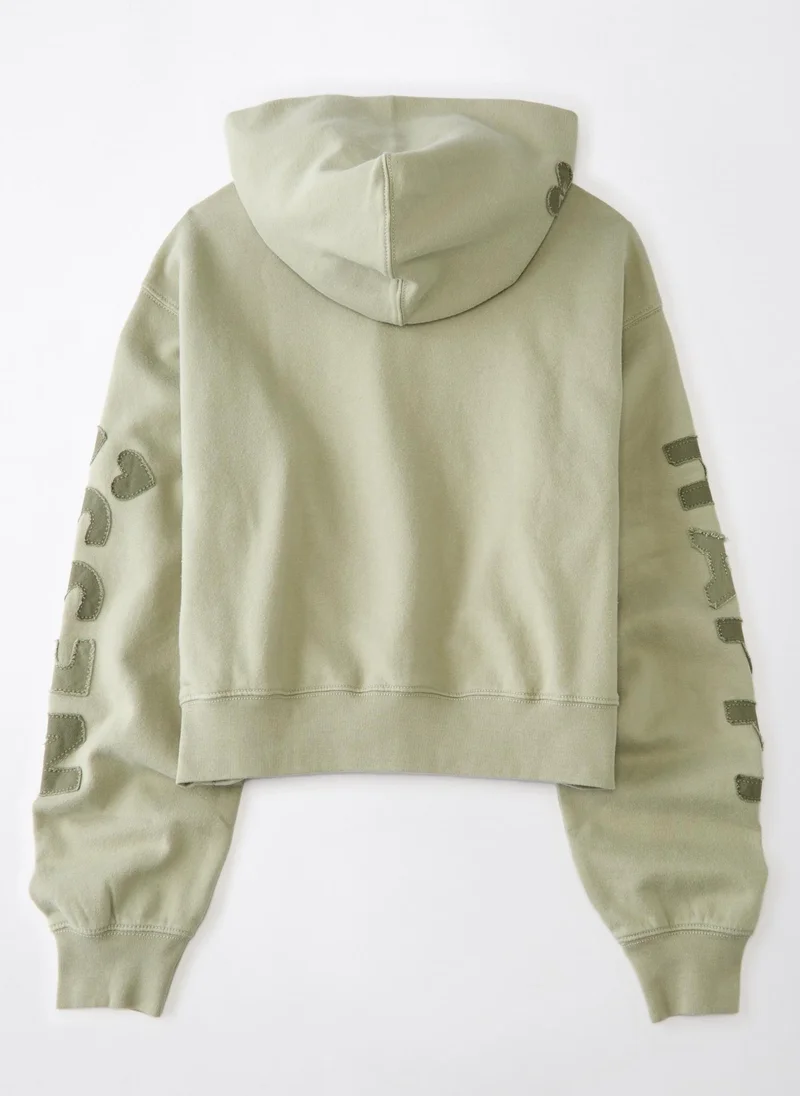 American Eagle Classic Graphic Pullover Hoodie