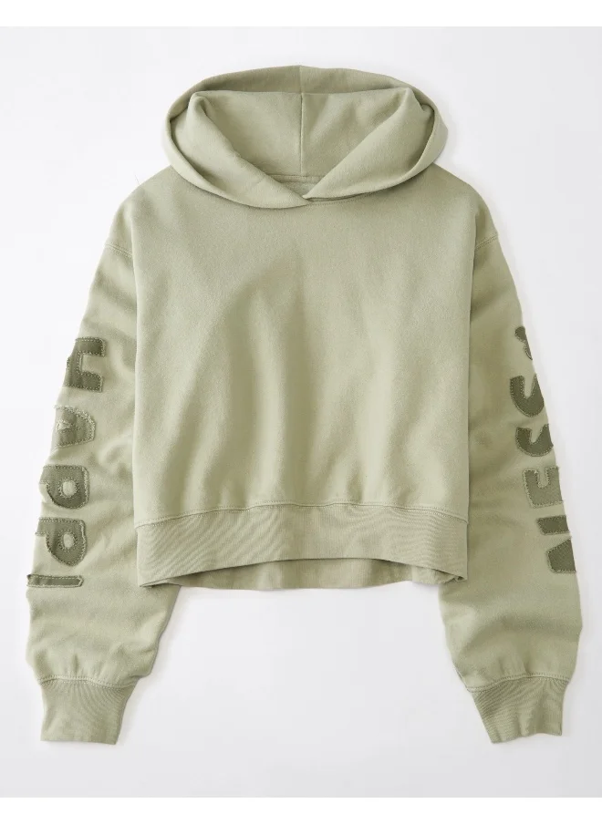 American Eagle Classic Graphic Pullover Hoodie