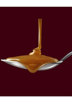 ASMACUP Caramel Sauce Squeeze - 480Gm  - Image 2