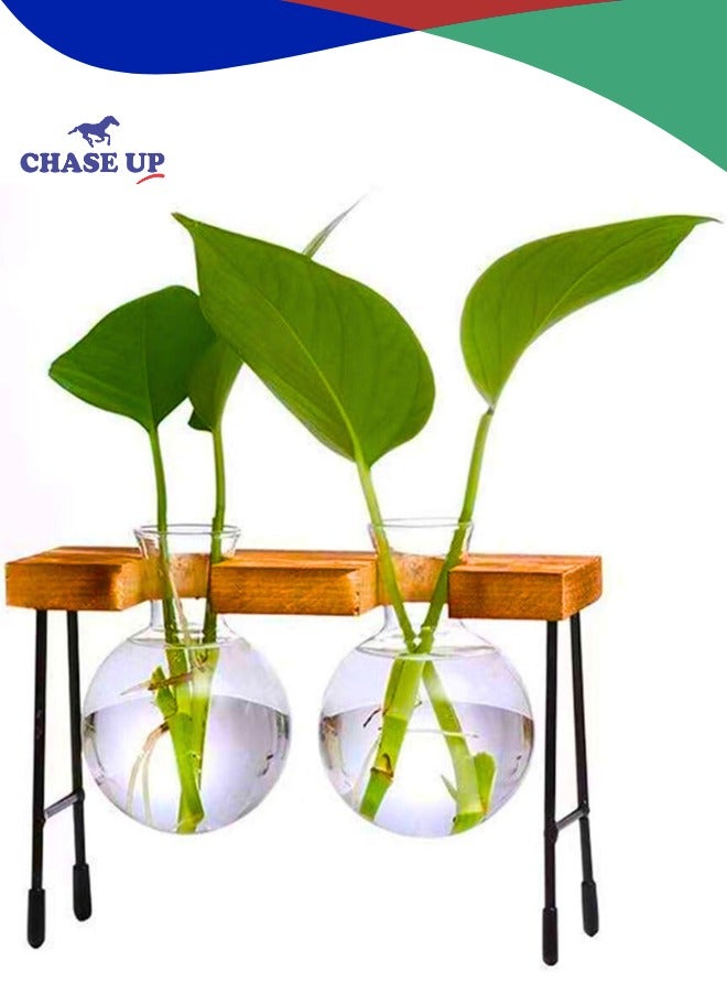 Chase Up Plants Propagation Stations with Wooden Stand, Glass Planter Tabletop Bulb Vase for Hydroponics Plants Home Office Decor-2 Vase - Image 1