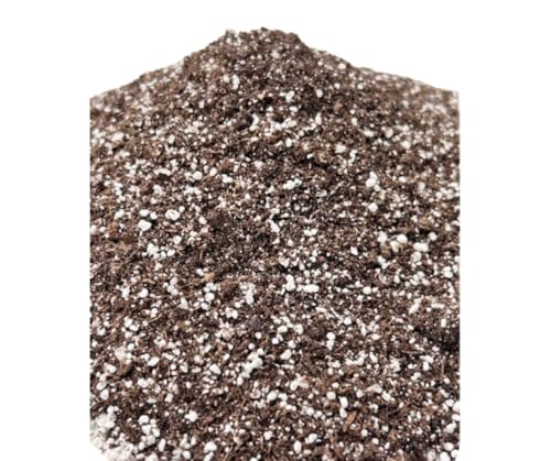Black Gold Seedling Mix 8qt - Image 2