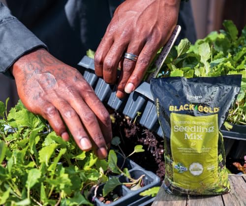 Black Gold Seedling Mix 8qt - Image 3