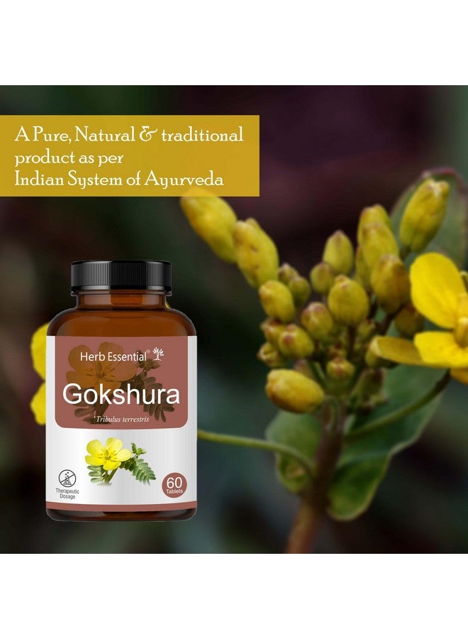 Herb Essential أقراص جوجشورا الأساسية بالأعشاب، 500 ملغ، 60 قرص | مستخلصات مركزة قوية | يحسن الحيوية | تريبولوس تيرستريس | للرجال والنساء على حد سواء - Image 5