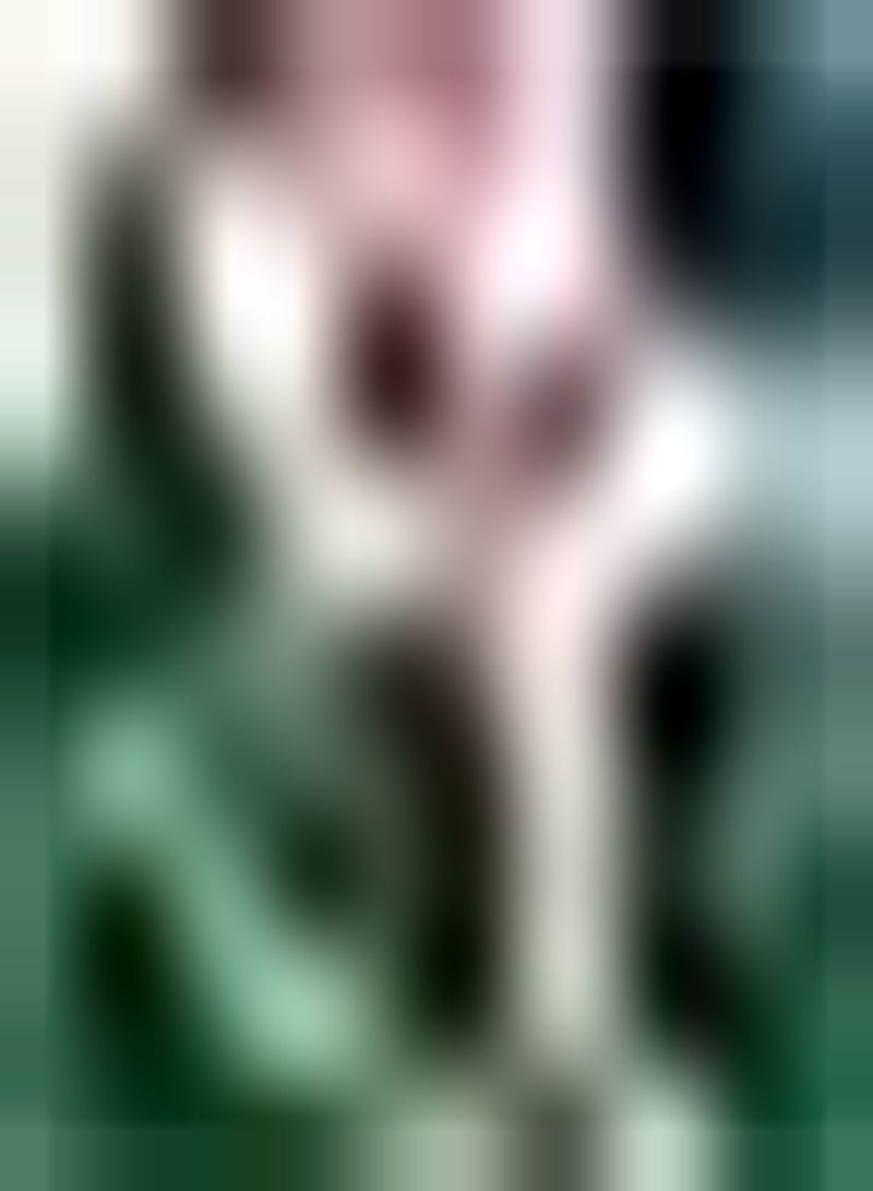 GGOOT 2pcs Mixed Color Amaryllis Seeds Easy to Grow Bring Sense of Accomplishment Suitable for Beginners Novice Gardeners DIY Garden Craft Art Decoration - Image 1