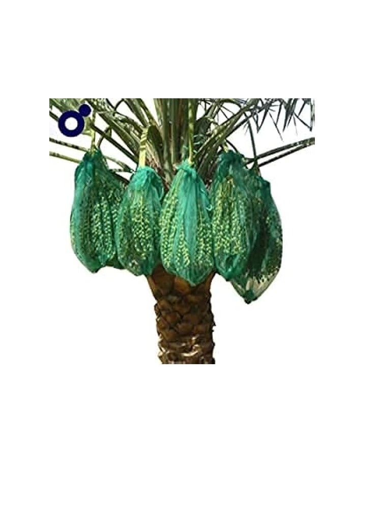 Generic Mono Date Palm Tree Net Bag PE Mesh Date Bags 25pcs (90cm x 70cm) "Garden Care" 