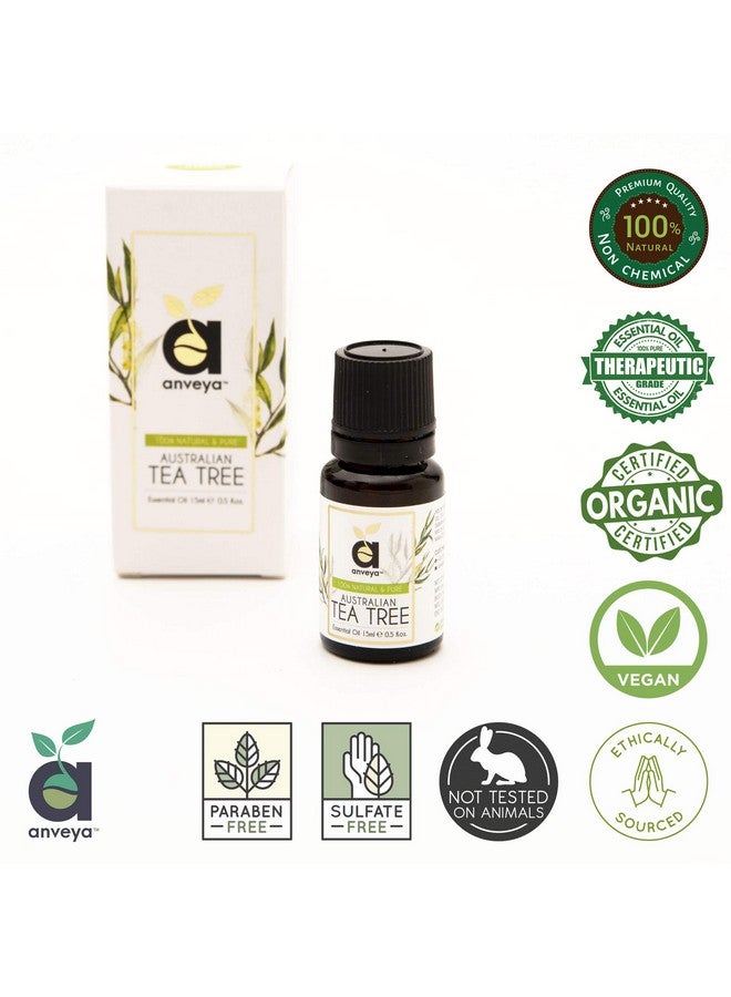 anveya anveya Australian Tea Tree Essential Oil, Natural, Pure & Undiluted, 15Ml, Best For Acne, Face, Skin & Hair  - Image 2