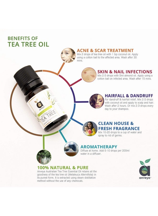 anveya anveya Australian Tea Tree Essential Oil, Natural, Pure & Undiluted, 15Ml, Best For Acne, Face, Skin & Hair  - Image 3
