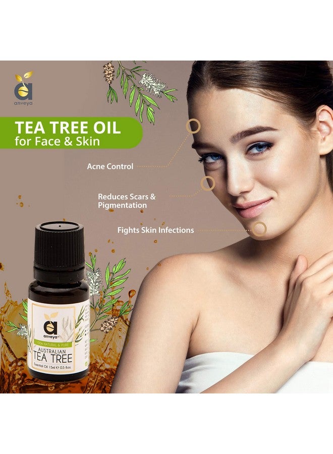 anveya anveya Australian Tea Tree Essential Oil, Natural, Pure & Undiluted, 15Ml, Best For Acne, Face, Skin & Hair  - Image 4