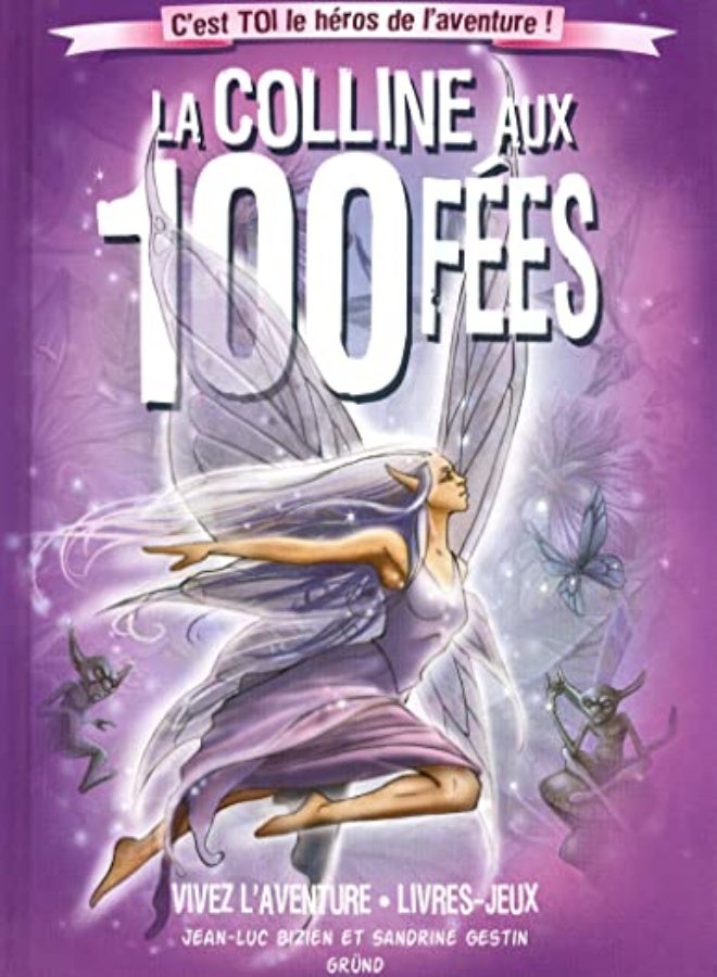 La Colline Aux 100 F Es by Jean-Luc Bizien Paperback 