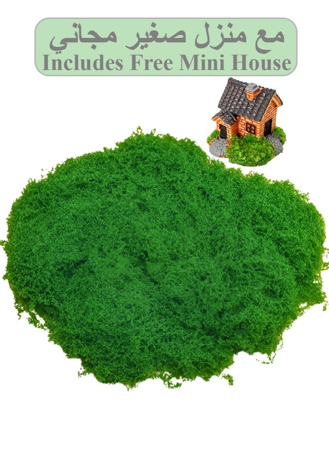 CSDONA 100g Artificial Green Moss Grass for Flowerpot  Home Decor Silk-Like Sheet  30x120cm  Includes Mini House - Image 1