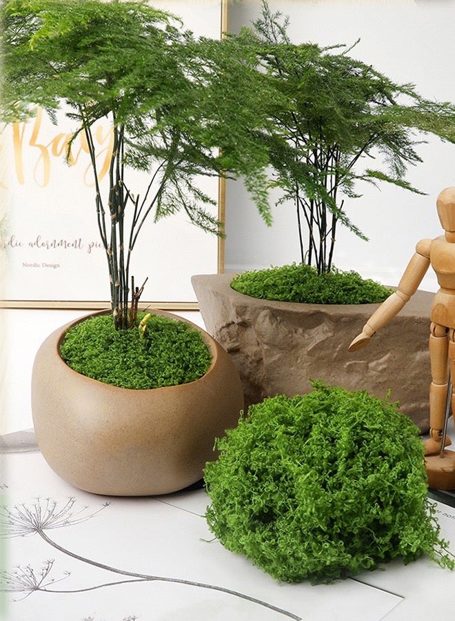 CSDONA 100g Artificial Green Moss Grass for Flowerpot  Home Decor Silk-Like Sheet  30x120cm  Includes Mini House - Image 5