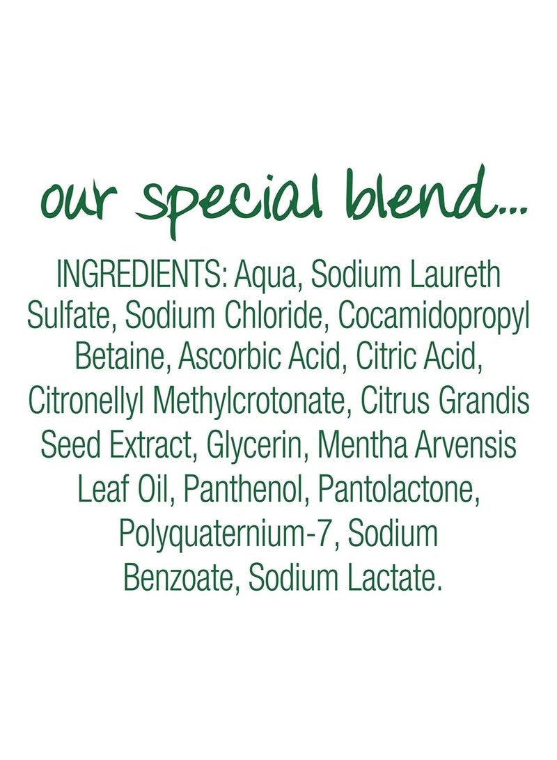 سمبل سيمبل لطيف على البشرة غسول اليدين المضاد للبكتيريا بزيت النعناع الطبيعي ، 250 مل - Image 3