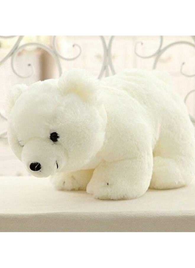 CLICK4DEAL Cute Polar Bear Stuffed Soft Toy For Kids (White Poller.Bear 25 Cm) Lovely Toy Figure  - Image 1