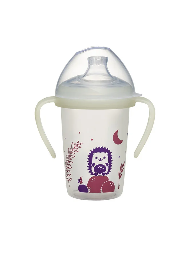 nip First Moments Training Pp Bottle Hedgehog -270ml
