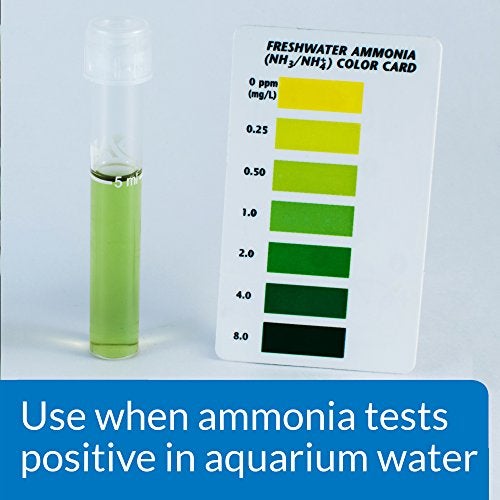 API AMMOLOCK Freshwater and Saltwater Aquarium Ammonia Detoxifier 4Ounce Bottle AMMO LOCK 4 OZ - Image 3