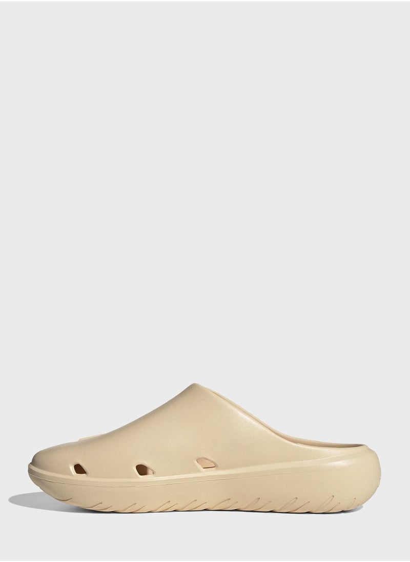 Adidas - Adicane Clog - Image 1