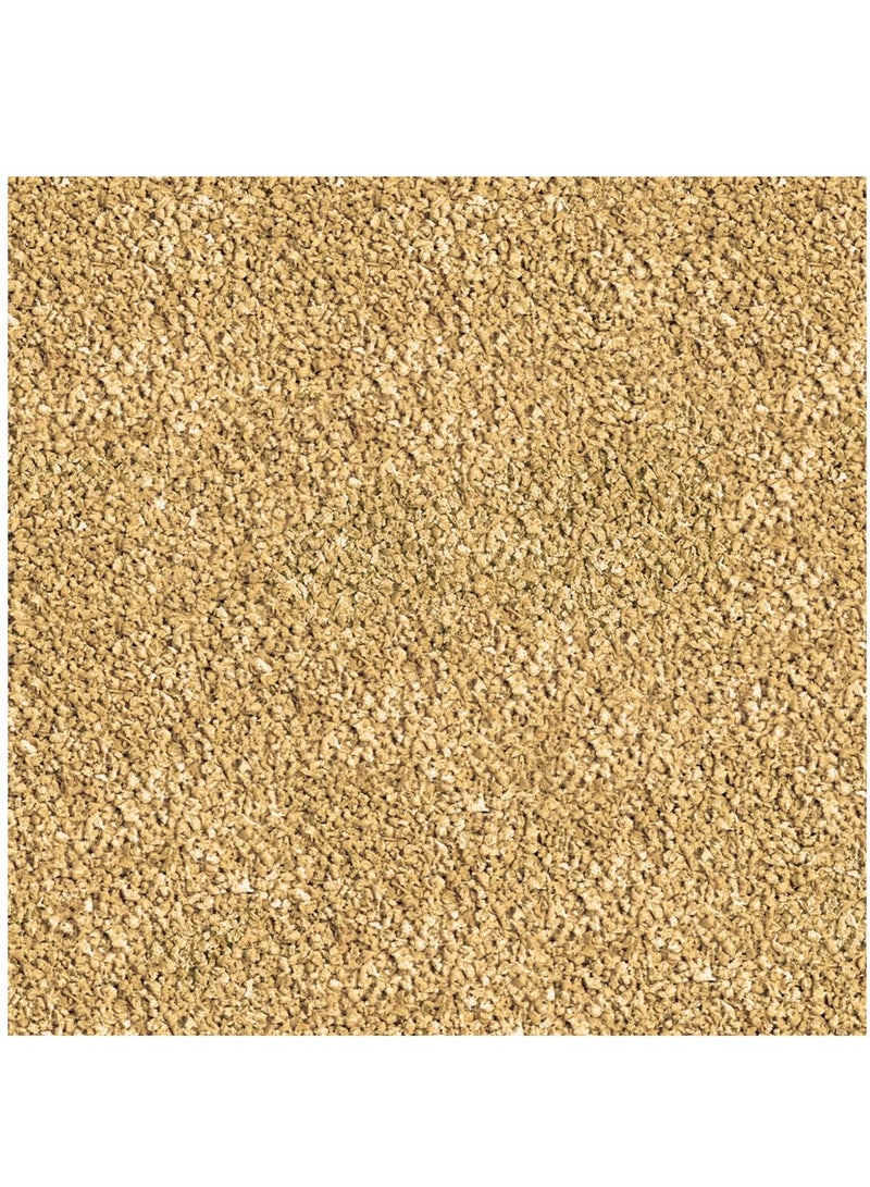 Sera Bettagran Nature Color Food For Betta Fish 24g  - Image 2