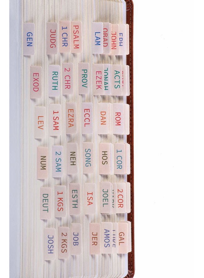 DiverseBee Laminated Bible Tabs (Large Print, Easy to Apply), Bible Tabs Old and New Testament, Bible Study Journaling Supplies, Bible Accessories, Bible Index Tabs, 72 Bible Book Tabs (Amber) - Image 1