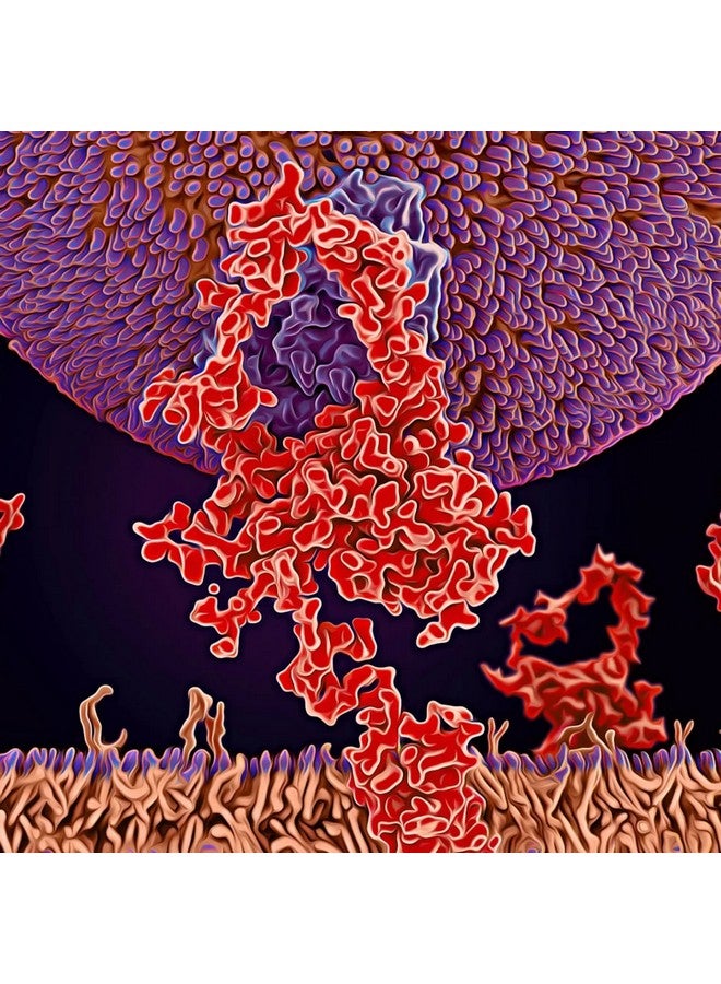 MICHAEL'S Health Naturopathic Programs Cholesterol Metabolism Factors - 90 Tablets - Helps Improve Circulation - Statin & Red Yeast Rice Free - 15 Servings - Image 4