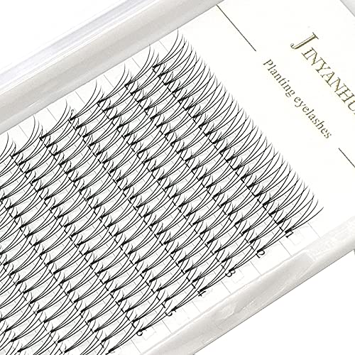 Soft Natural Premade Volume 2D Fans Eyelash Extension 0.10 Thickness 8-14mm Handmade Premade Cluster Volume Fans Faux Mink Lashes 3d (12mm, 3D-0.10-C)