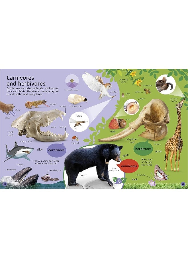1000 Animal Words: Build Animal Vocabulary and Literacy Skills  - Image 5