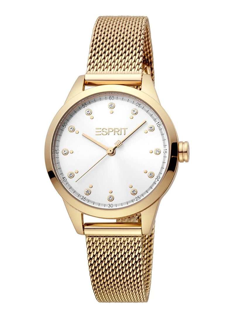 Esprit Stainless Steel Analog Women's Watch ES1L259M1085 - Image 1