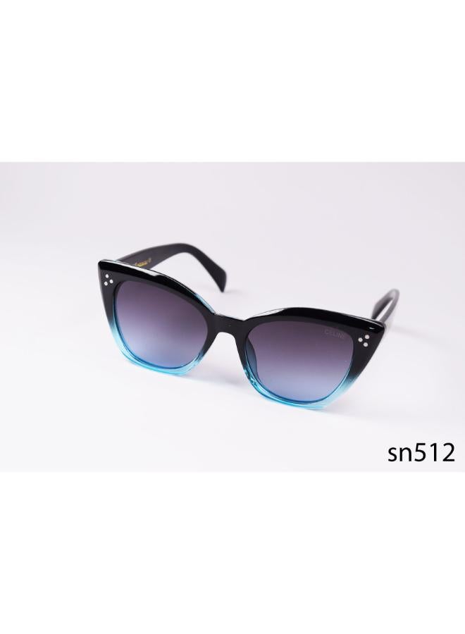 collction suglasses inspired by CELINE