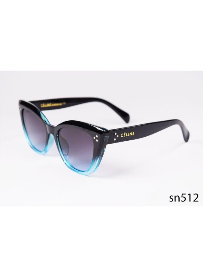 collction suglasses inspired by CELINE