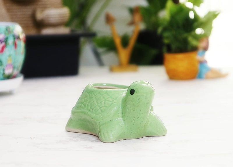 Leafy Tales Turtle Shape Ceramic Pot, Green, 4 Inch Size 1 pc - Image 1