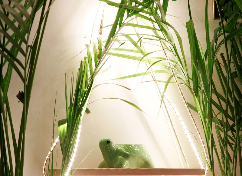 Leafy Tales Turtle Shape Ceramic Pot, Green, 4 Inch Size 1 pc - Image 2