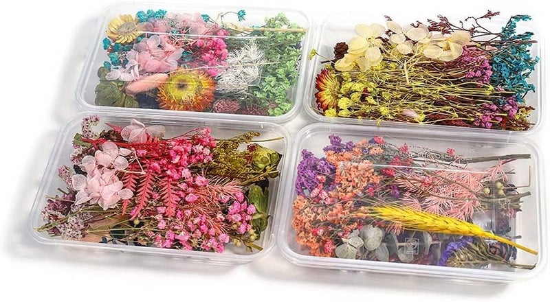 Snoogg Pack 1 Resin Art Essential Moisture Less Random Real Dried Flower Resin Mould Fillings for Epoxy Resin Molds Jewelry Making Craft DIY Accessories (1) - Image 5