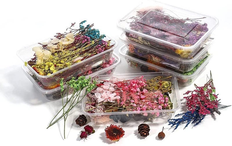 Snoogg Pack 1 Resin Art Essential Moisture Less Random Real Dried Flower Resin Mould Fillings for Epoxy Resin Molds Jewelry Making Craft DIY Accessories (1) - Image 2