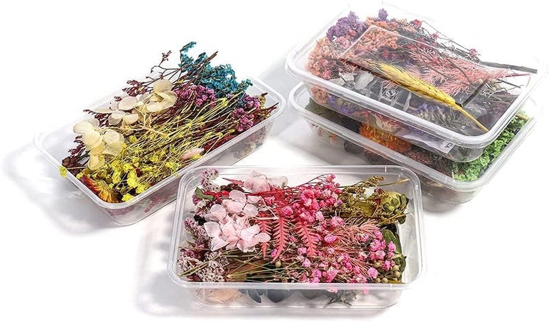 Snoogg Pack 1 Resin Art Essential Moisture Less Random Real Dried Flower Resin Mould Fillings for Epoxy Resin Molds Jewelry Making Craft DIY Accessories (1) - Image 4