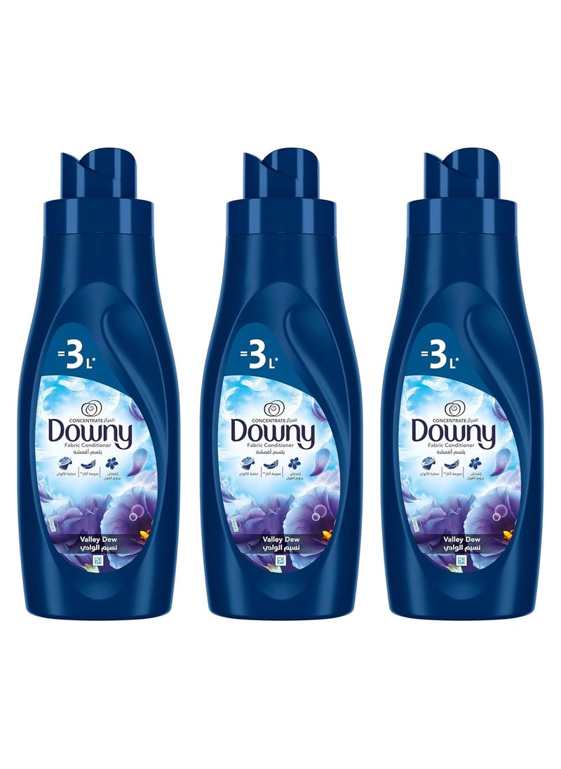 Downy Downy Concentrated Fabric Softener Valley Dew 1L 2+1 Pack 