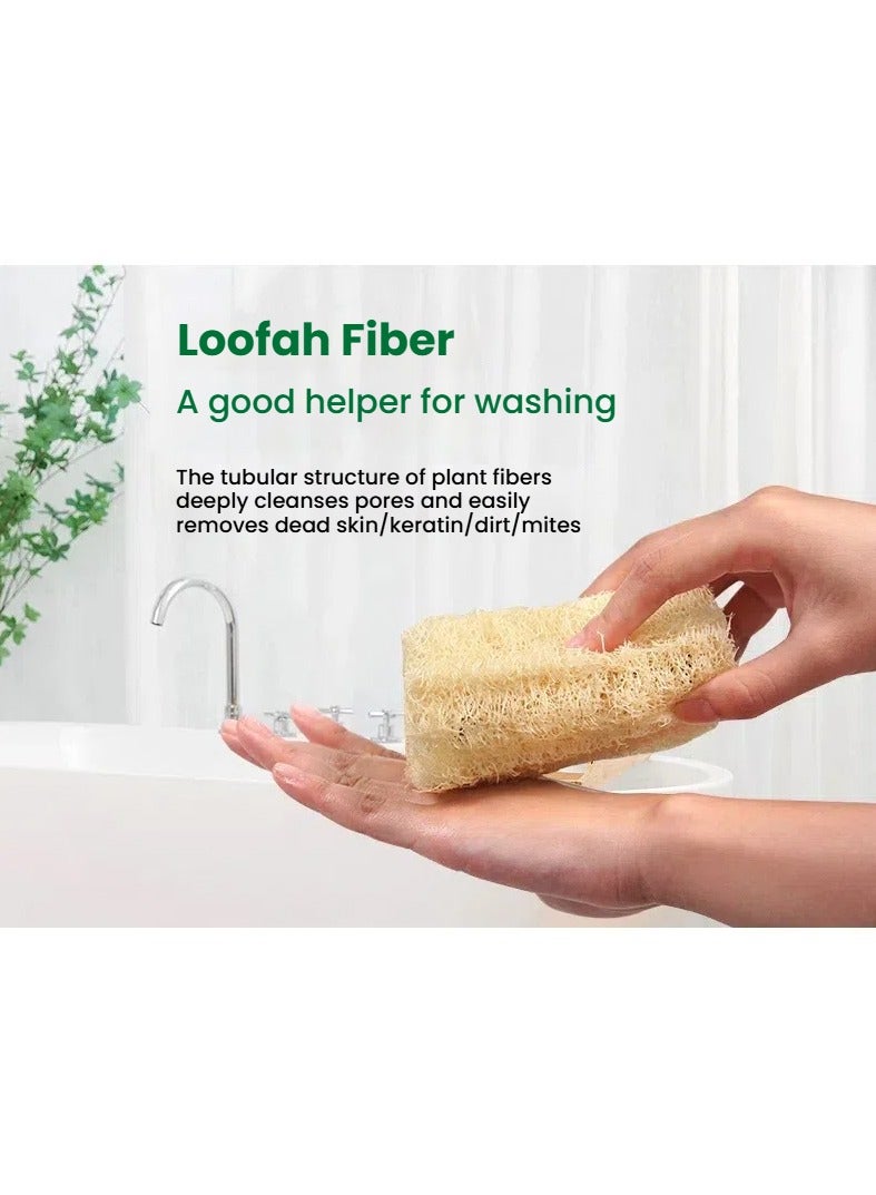 Journey Mate Natural Organic Loofah for Dish Cleaning or body scrub, 1 set 4 pieces - Image 3