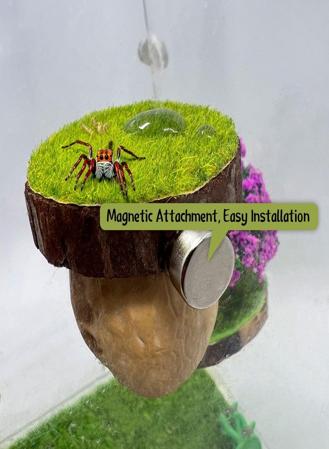 Daerky Jumping Spider Hideout, Magnetic Jumping Spider Hiding Habitat, Spider Climbing Platform, Handmade Spider Fence Accessory from Natural Materials, Suitable for Jumping Spiders and Other Small Insects - Image 4