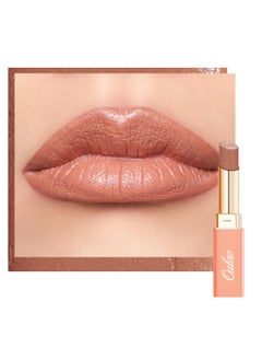 Oulac Brown Lipsticks for Women Orange Matte Lip Stick Full Coverage Lip Color Satin Matte Finish Cream Texture Hydrating Infused with Hyaluronic Acid Vegan  Clean Beauty 4g SG05 Body Talk - pzsku/Z53EEA38D25484C32048EZ/45/_/1741001445/c98b8459-866e-4a5a-b362-8b5e620367e1