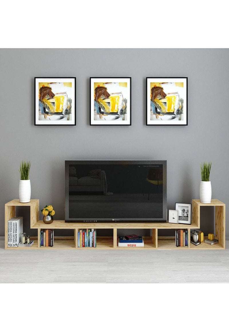 Home Gallery Multipurpose Functional TV Stand - Image 2