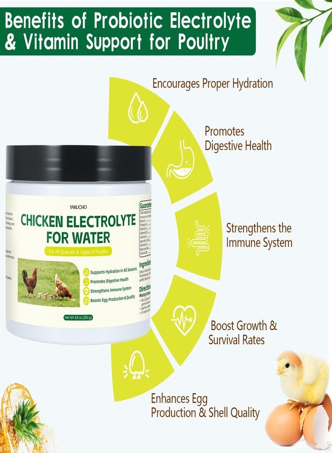 Yakucho Chicken Electrolytes, Vitamins & Probiotics – Poultry Supplement for Hydration, Immunity & Gut Health – for Chickens, Ducks, Turkeys – 8.8oz Powder – All Ages Formula - Image 2
