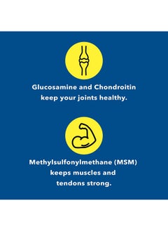 Somall Healthy Joint System Glucosamine Chondroitin MSM Supplement for Joint & Bone Health - 240 Capsules | Joint Support & Discomfort Relief for Back, Knees, Hands  - Image 3