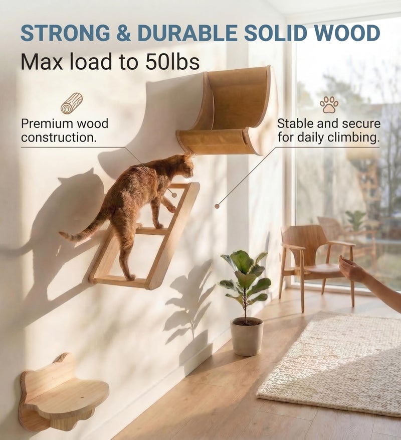HAPYKITYS Cat Wall Shelves Set â€“ Solid Wood Cat Wall Furniture with Moon Bed & Ladder, Wall Mounted Climbing Shelves for Indoor Cats, Space Saving Cat Gym Wall System (3pcs/Set) - Image 3