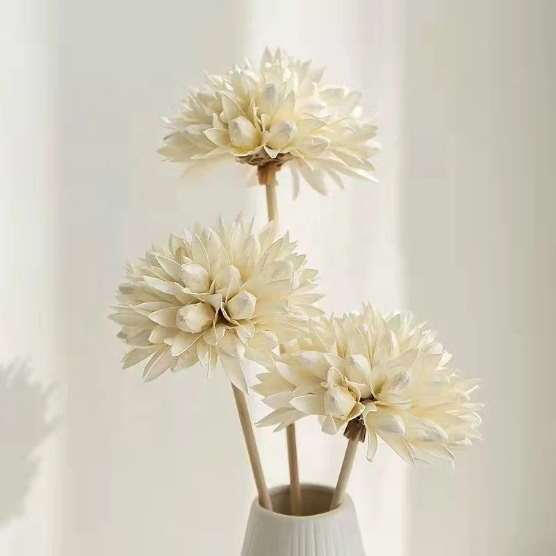 Bluejw High Quality Handmade Dried Magnolia Flowers – Natural Dried Plants for Elegant Bouquets & Home Decor - Image 2